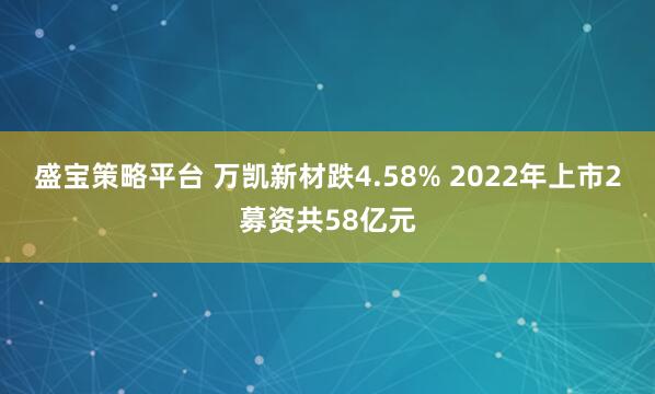 盛宝策略平台 万凯新材跌4.58% 2022年上市2募资共58亿元
